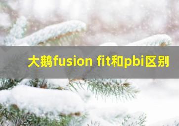 大鹅fusion fit和pbi区别